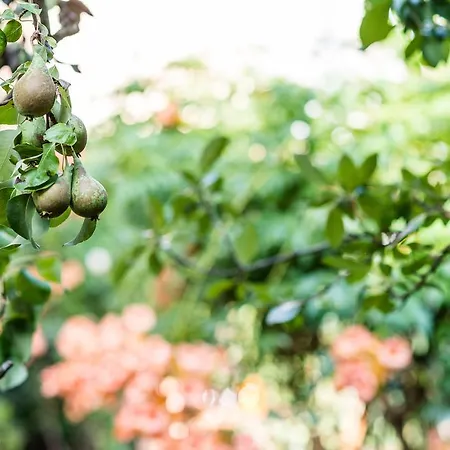 La Chicca Frühstückspension