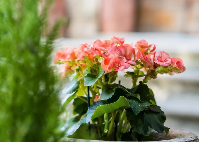 La Chicca Panzió Siena