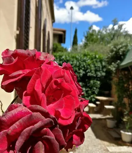 La Chicca Panzió Siena