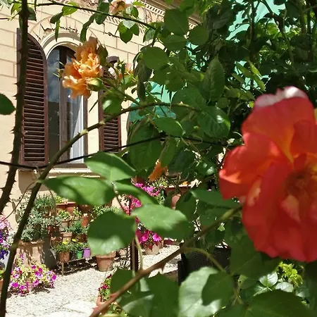 锡耶纳拉契卡住宿加早餐旅馆