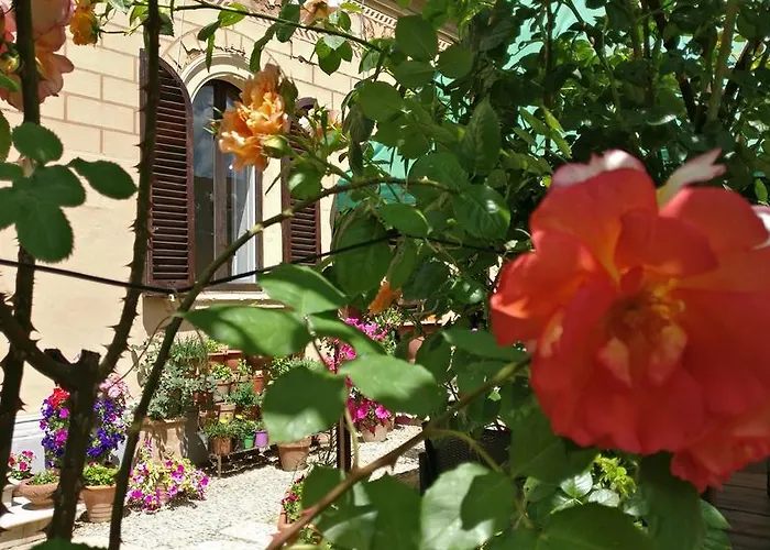 锡耶纳拉契卡住宿加早餐旅馆